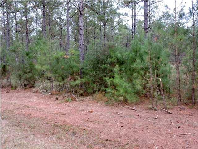 0 COWPEN CREEK ROAD, Robertsdale, AL 36567