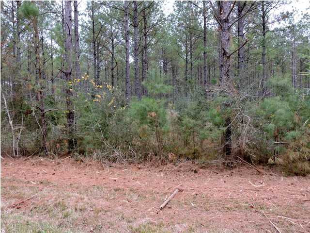 0 COWPEN CREEK ROAD, Robertsdale, AL 36567