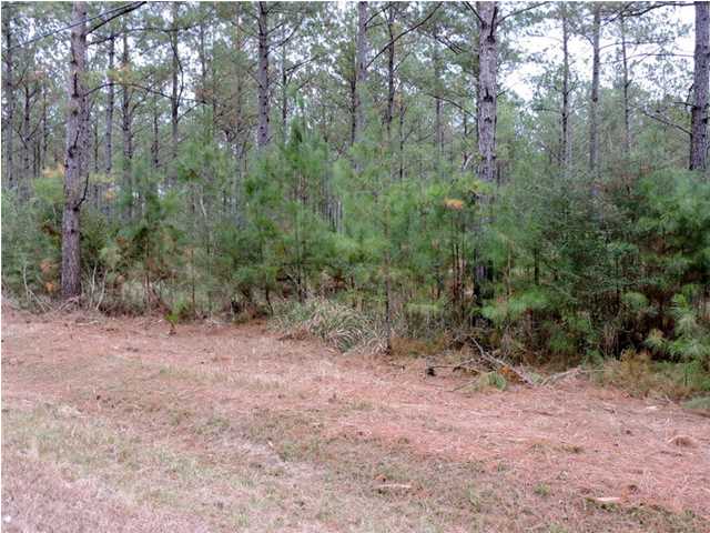0 COWPEN CREEK ROAD, Robertsdale, AL 36567
