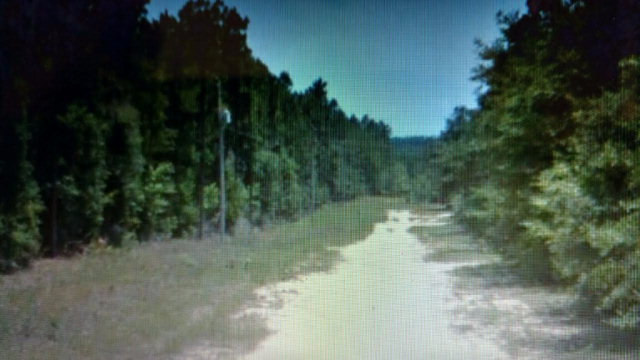 0 Vaughn Rd, Seminole, AL 36574