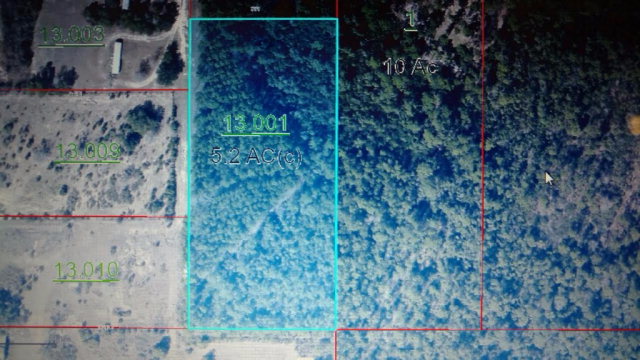 0 Vaughn Rd, Seminole, AL 36574