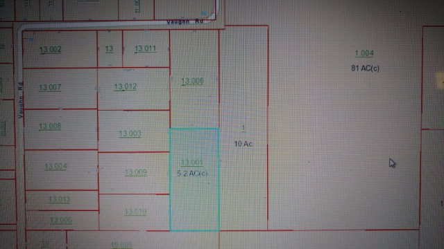 0 Vaughn Rd, Seminole, AL 36574