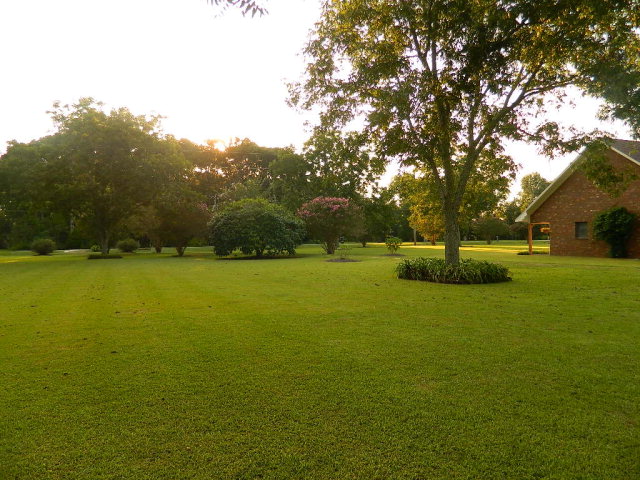 21372 County Road 49, Silverhill, AL 36576