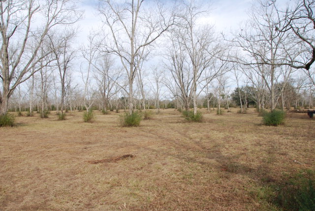 14877 Woodhaven Dairy Road, Summerdale, AL 36580