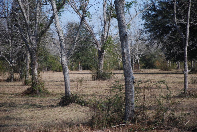 14877 Woodhaven Dairy Road, Summerdale, AL 36580