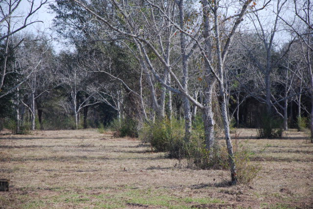 14877 Woodhaven Dairy Road, Summerdale, AL 36580