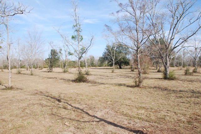 14877 Woodhaven Dairy Road, Summerdale, AL 36580