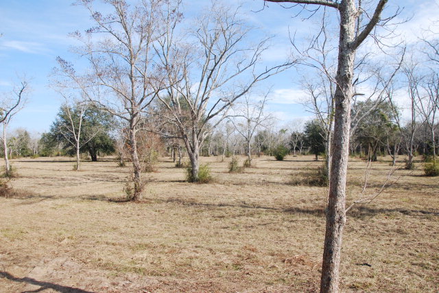 14877 Woodhaven Dairy Road, Summerdale, AL 36580