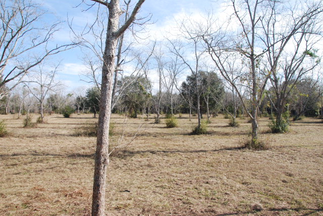 14877 Woodhaven Dairy Road, Summerdale, AL 36580