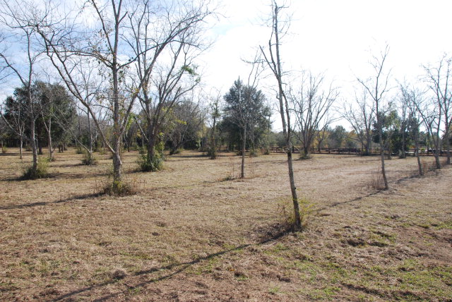14877 Woodhaven Dairy Road, Summerdale, AL 36580