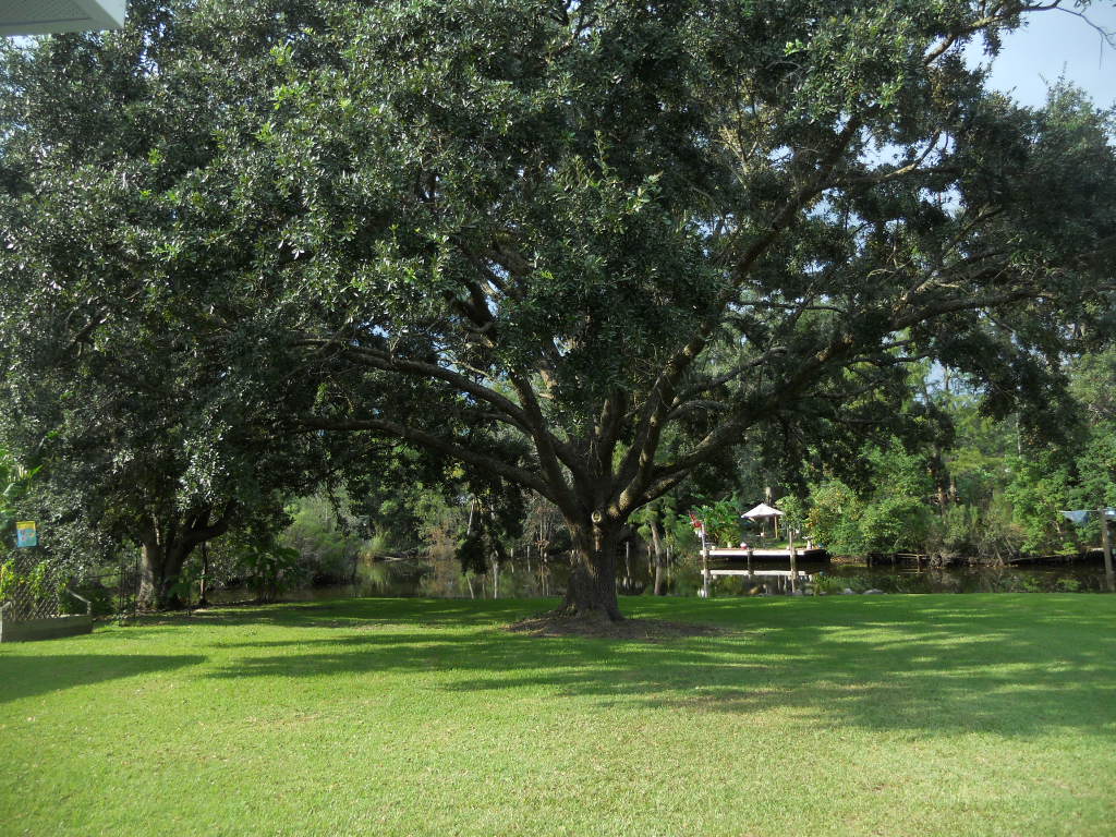 6626 Viking Way, Theodore, AL 36582