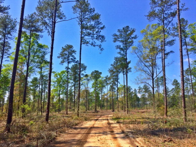 0 Grand Bay-wilmer Rd, Wilmer, AL 36587