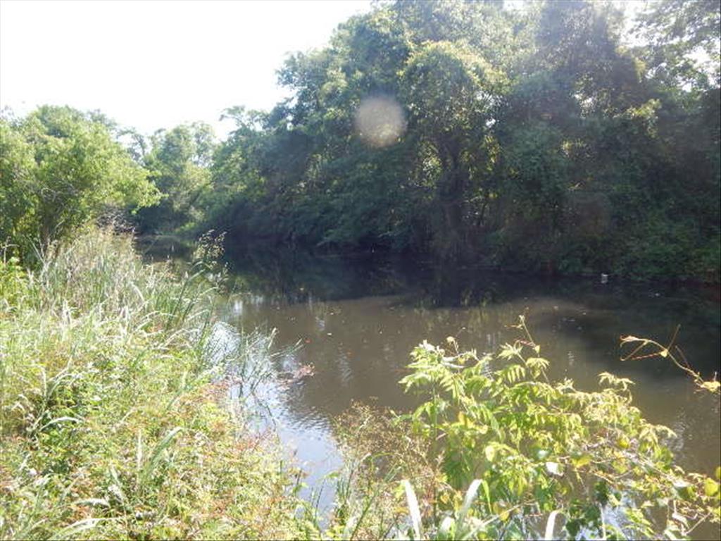 2390 Pauline Drive, Mobile, AL 36605