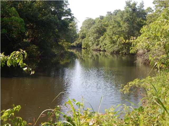2390PAULINE DR, Mobile, AL 36605