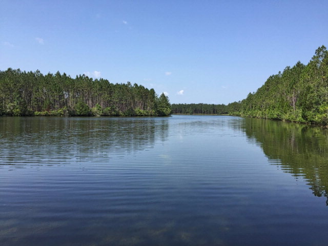 0 Jeff Hamilton Road, Mobile, AL 36695