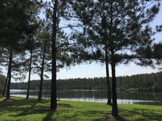 0 Jeff Hamilton Road, Mobile, AL 36695