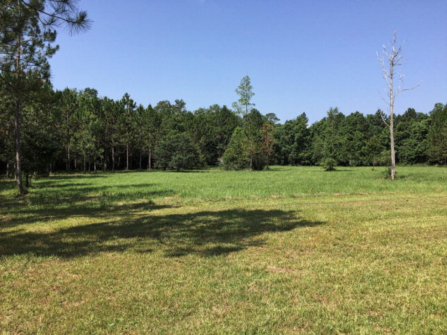 0 Jeff Hamilton Road, Mobile, AL 36695