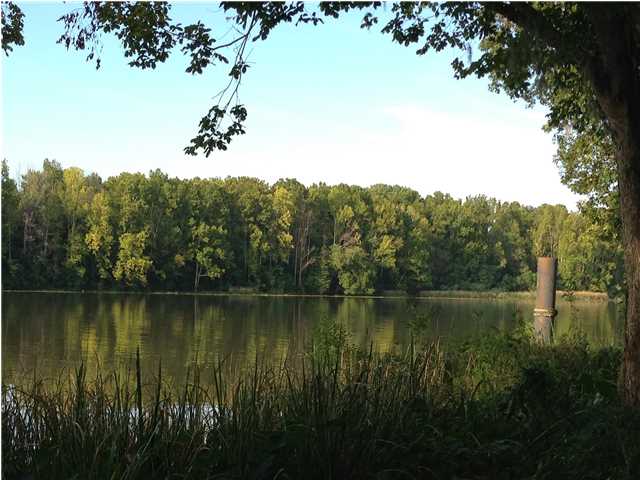 SHADOW CREEK Circle, Camden, AL 36726