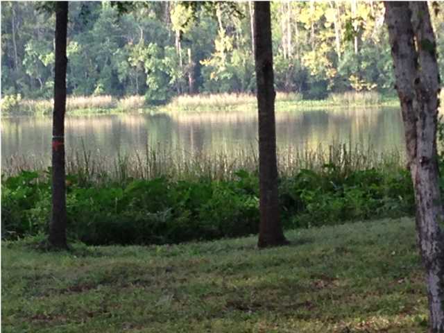 SHADOW CREEK Circle, Camden, AL 36726