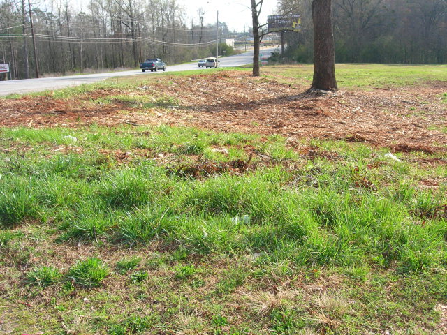 3303 PEPPERELL PARKWAY, Opelika, AL 36801