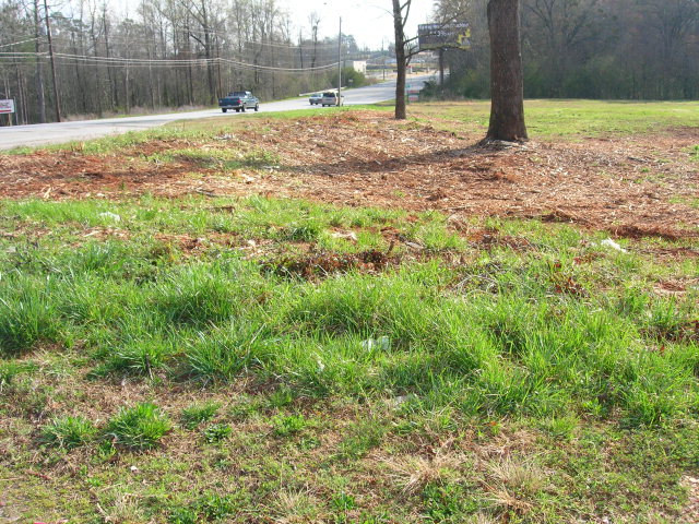 3303 PEPPERELL PARKWAY, Opelika, AL 36801