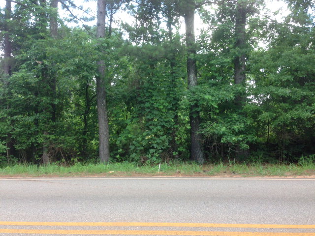 225 AUBURN LAKES ROAD, Auburn, AL 36830