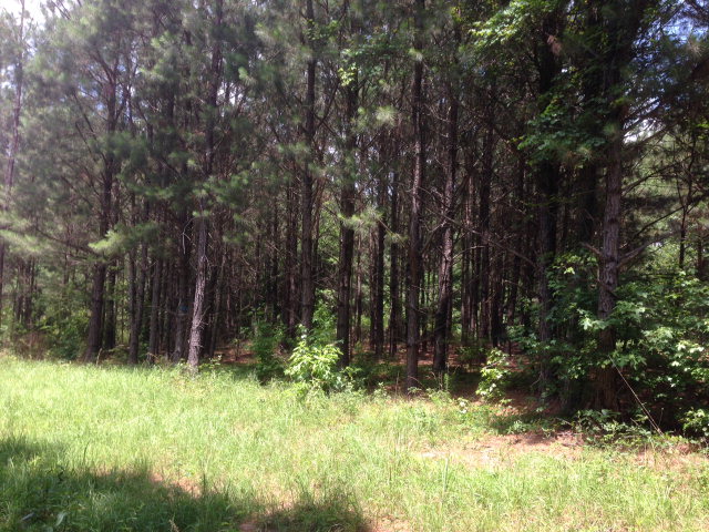 225 AUBURN LAKES ROAD, Auburn, AL 36830