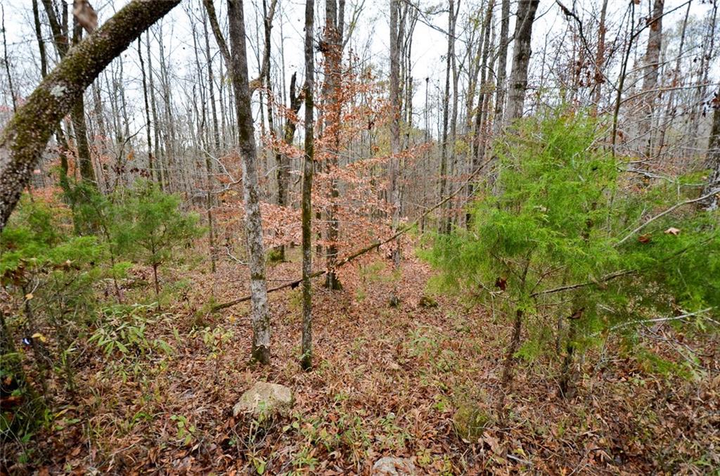 3906 NASH CREEK DRIVE, Auburn, AL 36830