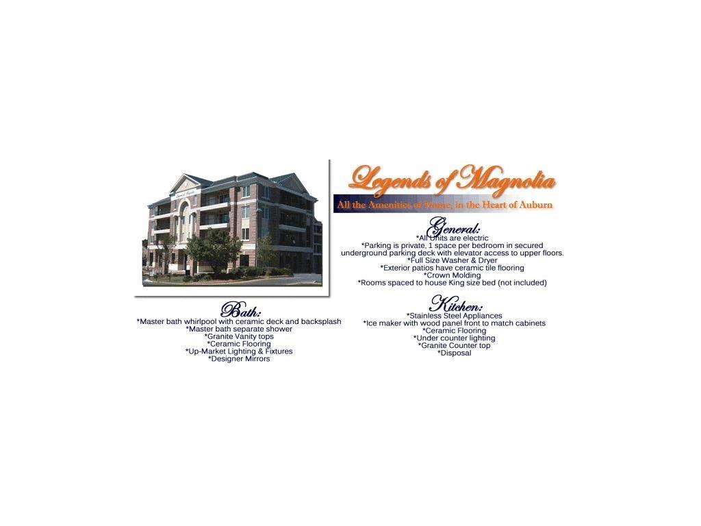 234 W MAGNOLIA AVENUE, Auburn, AL 36830