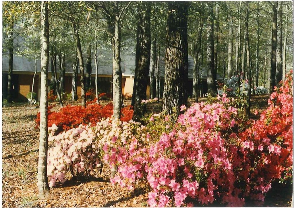 2128 WHITE OAK, Auburn, AL 36830