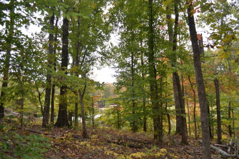 TBD BENT CREEK ROAD, Auburn, AL 36830