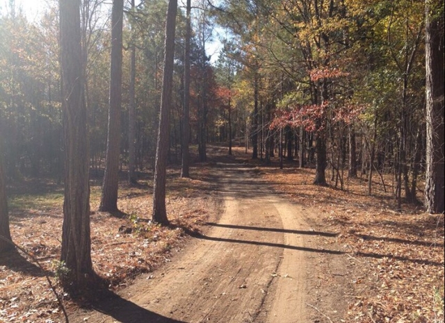 830 DAKOTA DRIVE, Auburn, AL 36832