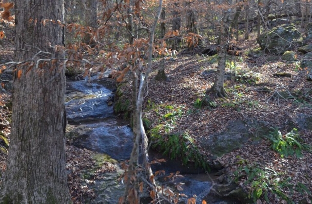 840 DAKOTA DRIVE, Auburn, AL 36832
