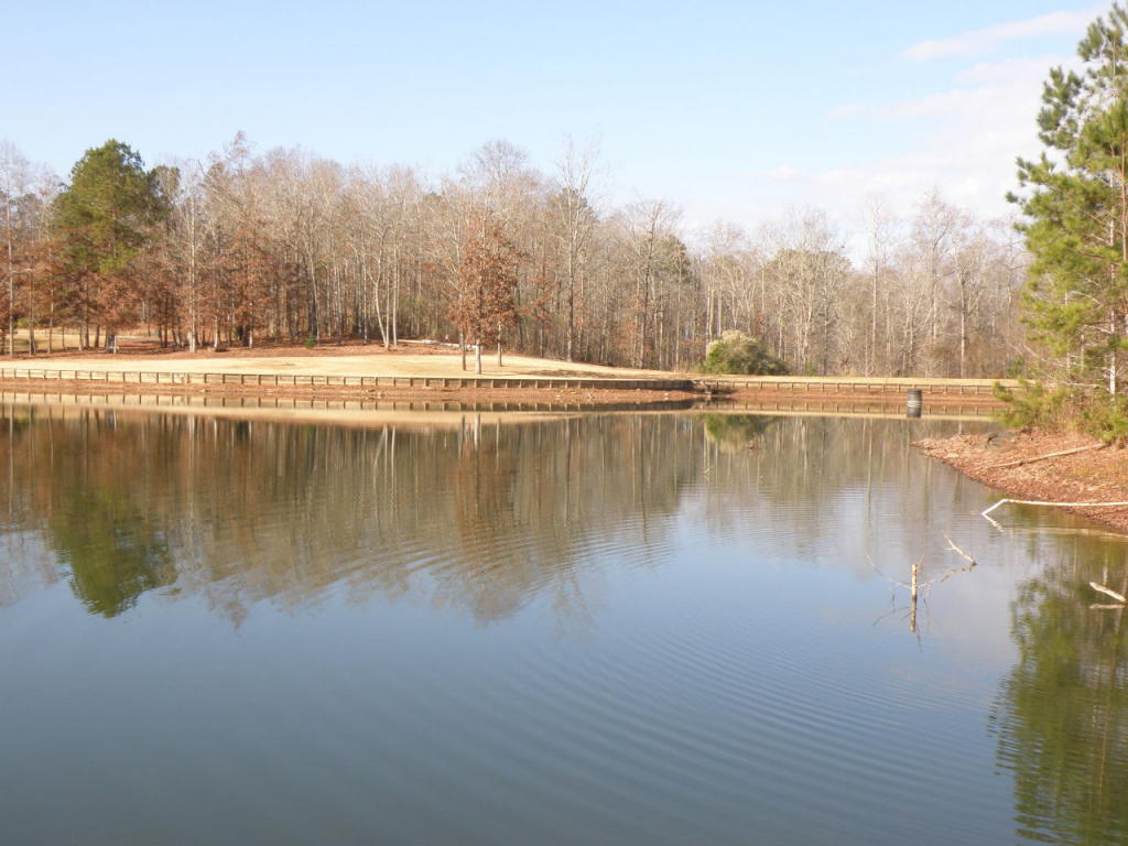 314 TALLYHO, Auburn, AL 36832