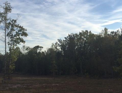 0 Lee Road 0070, Auburn, AL 36850