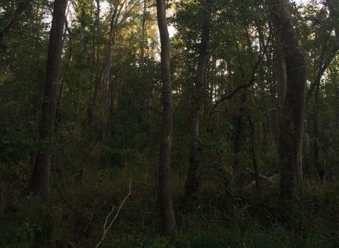 0 Lee Road 0070, Auburn, AL 36850