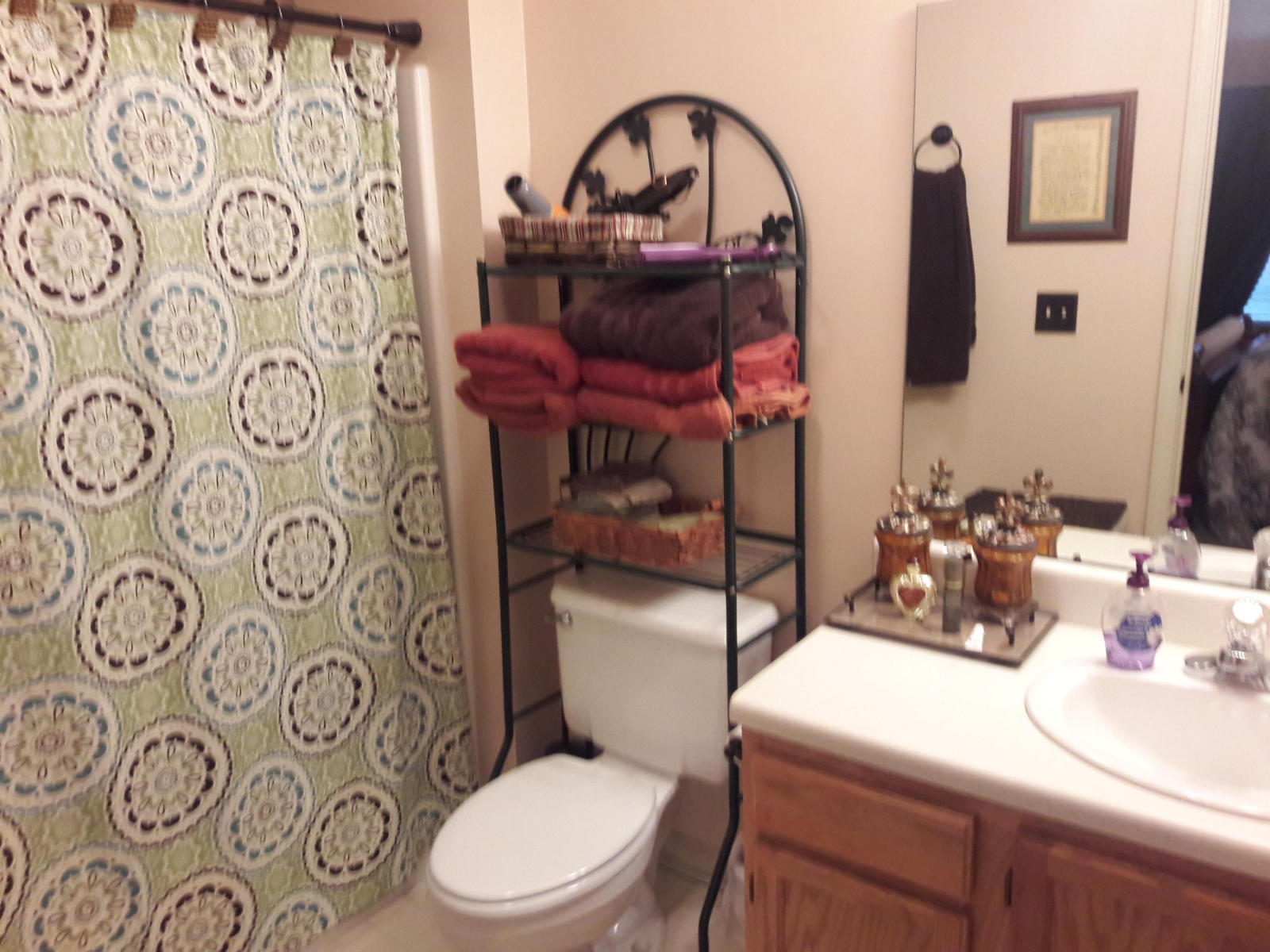 741 Lakeview Ridge, Dadeville, AL 36853