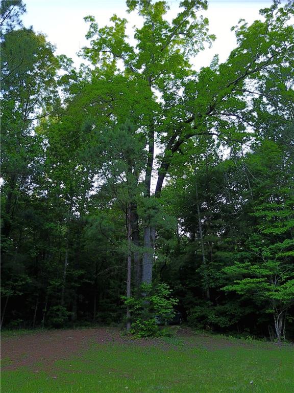 Lot S-78 OLD SUSANNA ROAD, Dadeville, AL 36853