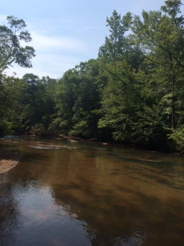 0 HAYES MILL ROAD, Dadeville, AL 36853