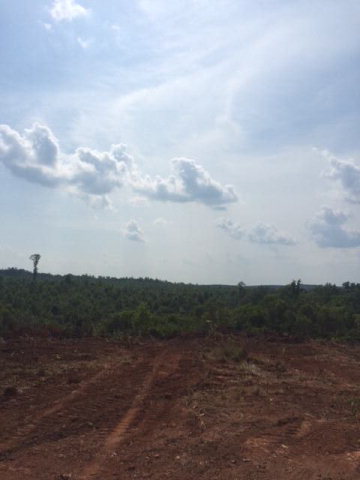 0 HAYES MILL ROAD, Dadeville, AL 36853