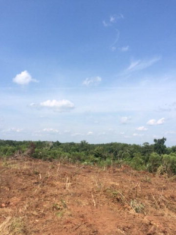 0 HAYES MILL ROAD, Dadeville, AL 36853