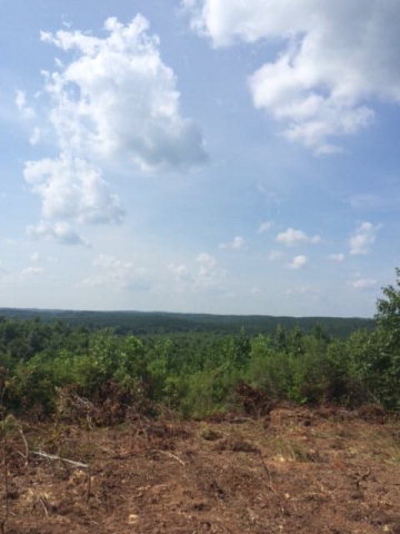 0 HAYES MILL ROAD, Dadeville, AL 36853