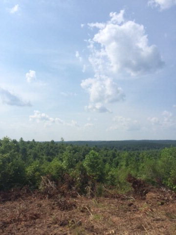 0 HAYES MILL ROAD, Dadeville, AL 36853