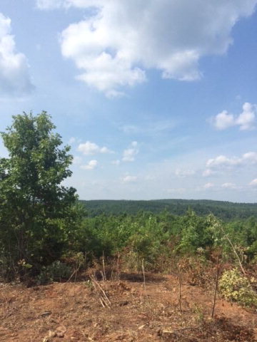 0 HAYES MILL ROAD, Dadeville, AL 36853