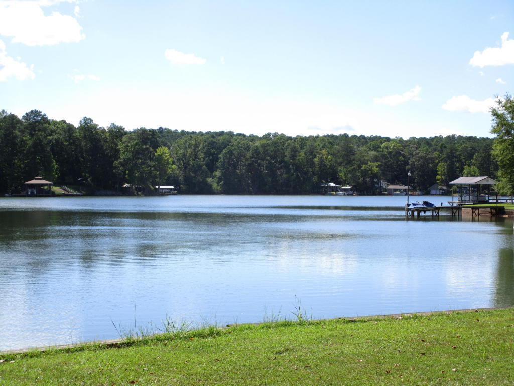 2025 MOONBRANCH Dr, Dadeville, AL 36853