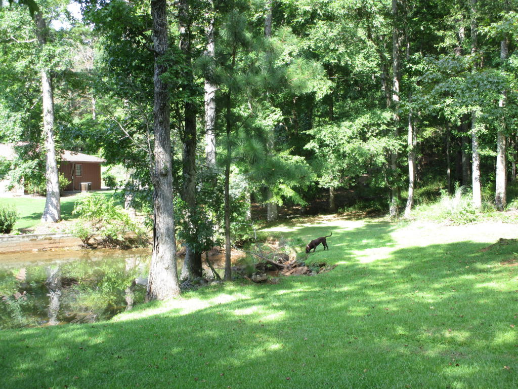 67 Mallard Path, Dadeville, AL 36853
