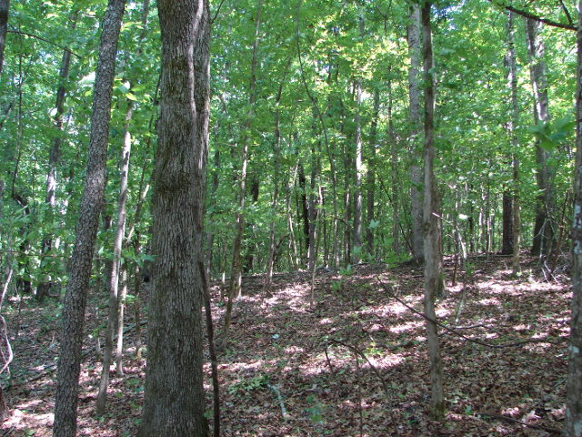 0 18TH PLACE, Valley, AL 36854