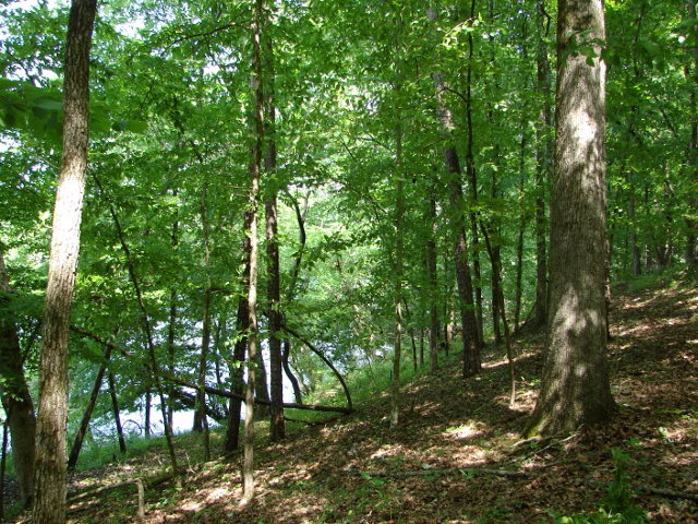 0 18TH PLACE, Valley, AL 36854