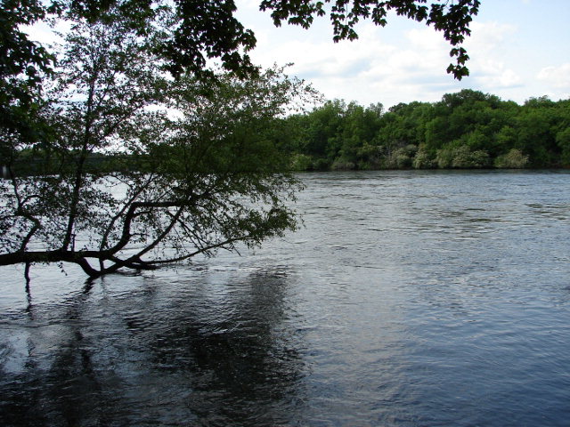 0 18TH PLACE, Valley, AL 36854