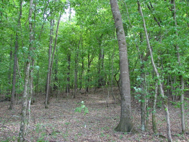 0 18TH PLACE, Valley, AL 36854